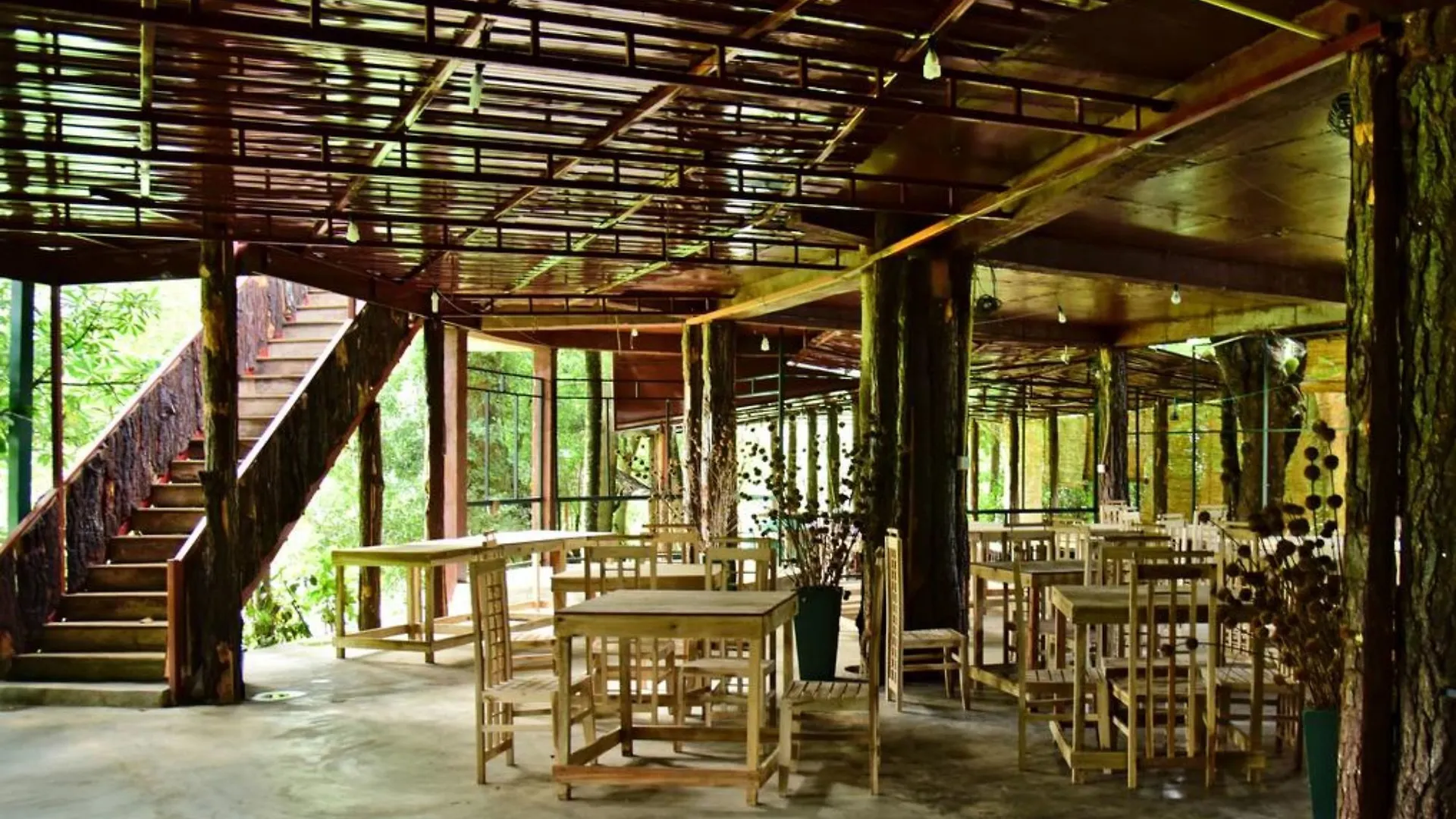 מלון קנדי Pines Hut